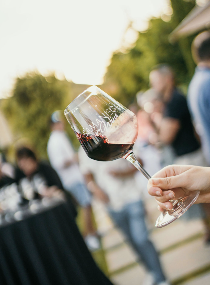 alutiz samaniego in wine 14 - Descubre Bodegas Alútiz en Samaniego, Rioja Alavesa, una bodega familiar con más de 200 años de tradición. Ofrecemos vinos de maceración carbónica, tintos y blancos de Rioja elaborados con uvas seleccionadas de viñedos en Samaniego y Laguardia. Disfruta de experiencias de enoturismo, visitas guiadas y catas personalizadas en un entorno único. Además, contamos con alojamiento rural para que vivas la auténtica esencia de la Rioja Alavesa mientras disfrutas de nuestros vinos artesanales y de la hospitalidad de nuestra bodega alutiz samaniego in wine 14